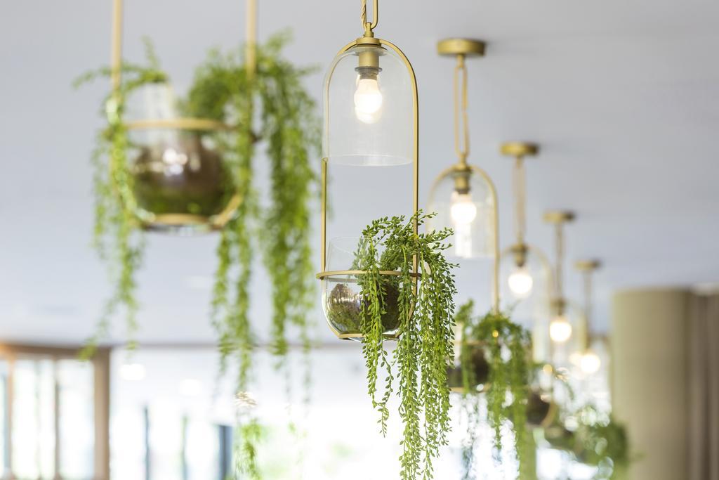 Vibe Hotel Rushcutters Bay ซิดนีย์ ภายนอก รูปภาพ